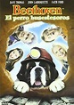 Beethoven 5. El perro buscatesoros [DVD]: Amazon.es: Dave Thomas, Tom ...
