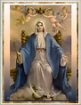Santa María, Madre de Dios y Madre nuestra: Flor del 31 de mayo: María ...