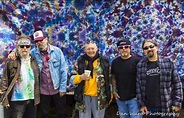 New Riders of the Purple Sage | The Public