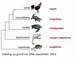 Evolutiebiologie: Vanuit het Paleozoïcum ...