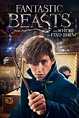 Download Fantastic Beasts And Where To Find Them Fantasy Movie Poster ...