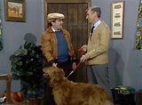Bob Trow / Bob Dog / Robert Troll - Mister Rogers' Neighborhood