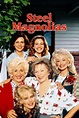 Steel Magnolias (1989) - Herbert Ross | Synopsis, Characteristics ...