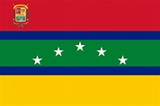 banderas locales (municipales y parroquiales) venezolanas: bandera del ...