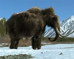 Mammoth (2006)