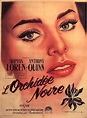 L'Orchidée noire - Film (1958) - SensCritique