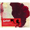 Gotye Like Drawing Blood UK Vinyl LP Record LUCKY020LP Like Drawing ...