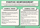 21 Positive Reinforcement Examples that Work! (2024)