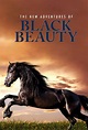 The New Adventures of Black Beauty - TheTVDB.com