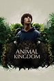 The Animal Kingdom - Data, trailer, platforms, cast