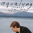 Release “Strange and Beautiful” by Aqualung - Cover Art - MusicBrainz