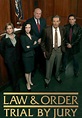 Law & Order: Trial by Jury - streaming online
