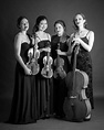 Gallery | Moser String Quartet