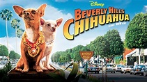 Beverly Hills Chihuahua | Disney+