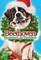 Beethoven Aventura de Navidad - Movies on Google Play