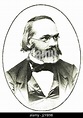 Carl Wilhelm von Naegeli Stock Photo - Alamy