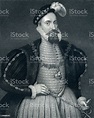 Henry Grey Duke Of Suffolk Portrait Stock Illustration - Download Image ...