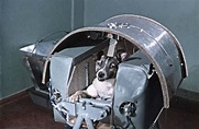 Laika: The Soviet Space Dog Sent on a One-Way Trip into Orbit, 1957 ...