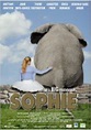Sophie & Shiba: DVD, Blu-ray oder VoD leihen - VIDEOBUSTER.de