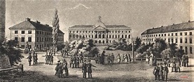 Pałac Kazimierzowski czyli Liceum Warszawskie w 1824 r., litografia ...
