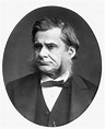 Posterazzi: Thomas Henry Huxley N(1825-1895) English Biologist ...