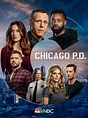 Chicago PD Temporada 8 - SensaCine.com