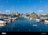 Erie Basin Marina auf dem Eriesee mit Skyline der Stadt Buffalo im ...