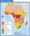 Africa Koppen Map The Different Climates In Africa Af - vrogue.co
