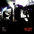 Skinny Puppy – Back And Forth 06Six (2003, 1st Pressing, Jewel Case, CD ...