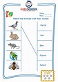 Worksheets For Kids Match Domestic Animals With Names - vrogue.co