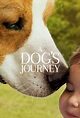 A Dog's Journey (Película, 2019) | MovieHaku