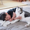 日本小男孩和貓咪的成長日記 融化全世界貓奴的心！ | 寵毛網 | NOWnews今日新聞