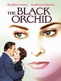 Wer streamt Die schwarze Orchidee? Film online schauen