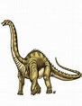 Diplodocus by ProdigyDuck on DeviantArt Godzilla, Dinosaur Era ...