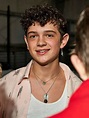 General picture of Noah Jupe - Photo 13 of 90 | Cute actors, Celebrity ...