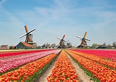 Países Baixos: roteiro essencial por terras da antiga Holanda