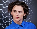 Timothee Chalamet | Movies, Dune, Sister, & Call Me By Your Name ...