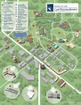 Case Western Reserve University Campus Map – Map Vector