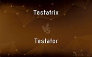 Testatrix vs. Testator — What’s the Difference?