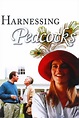 Harnessing Peacocks (1993) — The Movie Database (TMDB)