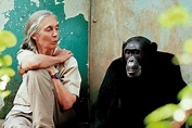 Jane Goodall decide aplazar la publicación de su libro tras las ...