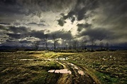 Mud Tracks Photograph by Dale E Daniel Landscape Photography | Fine Art ...