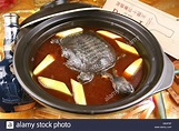 Schildkrötensuppe Stockfoto, Bild: 280668102 - Alamy