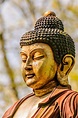 Buddha - Siddhartha Gautama Photograph by Colin Utz