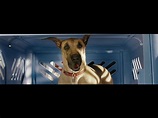Marmaduke - Marmaduke: Trailer #2 | IMDb