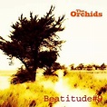 The Orchids/Beatitude #9