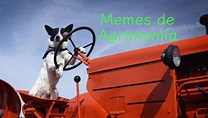 Memes de Agronomia, agronomos y agronomas - InfoAgronomo en 2021 ...