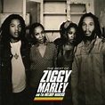 The Best of Ziggy Marley and the Melody Makers | CD Album | Free ...
