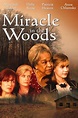 Miracle in the Woods - Where to Watch and Stream