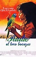 Paulie, el loro bocazas - Película 1997 - SensaCine.com